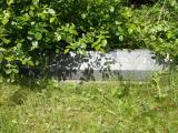 image of grave number 662858